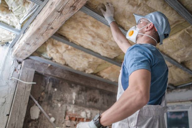Best Energy Efficiency Solutions in Mclean, TX