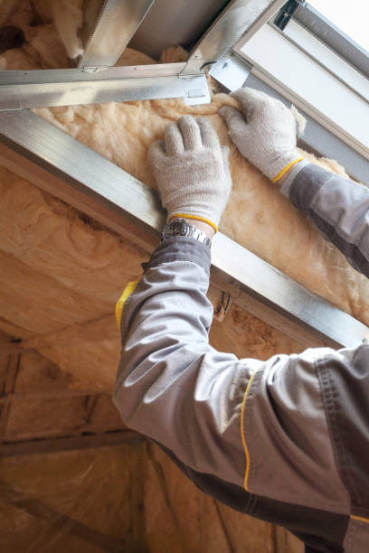 Best Specialty Insulation in Mclean, TX