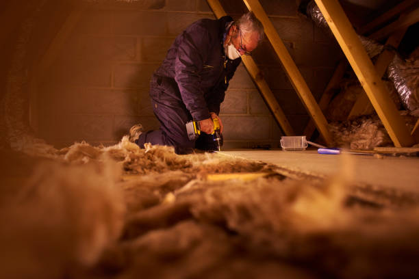 Best Insulation Installation Services in Mclean, TX